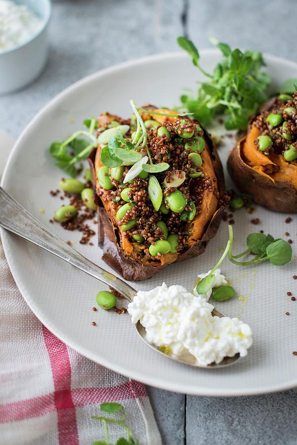 Sweet Potatoes Stuffed With Quinoa, Broad Beans, Fromage Frais Photograph by Thys