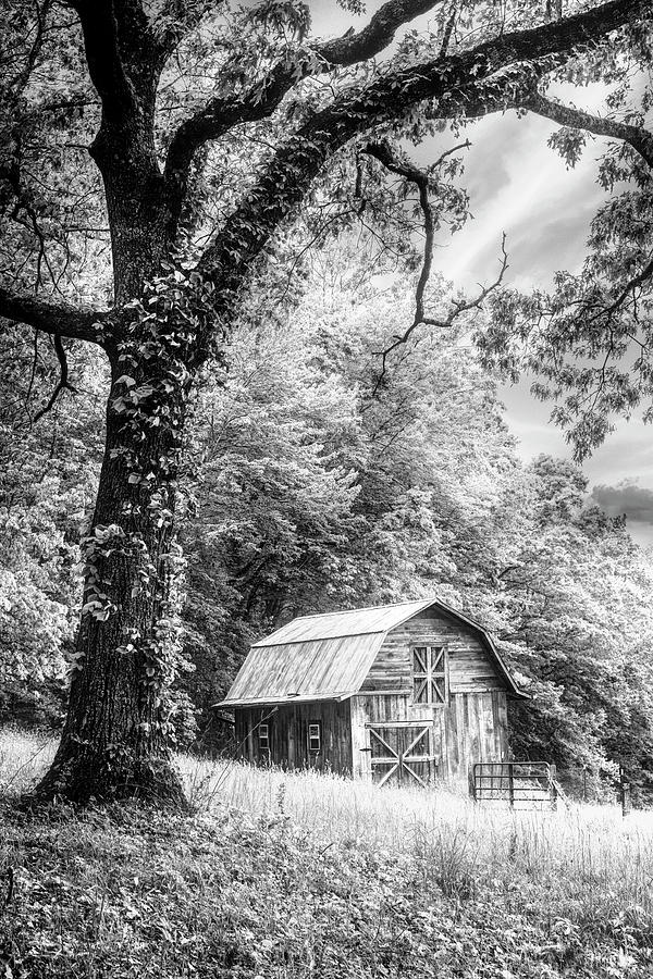 Sweet Sweet Country in Black and White  Photograph by Debra and Dave Vanderlaan