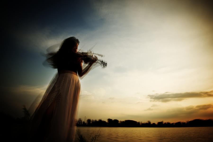 Music Photograph - Sweet Violin by Sorin Vidis