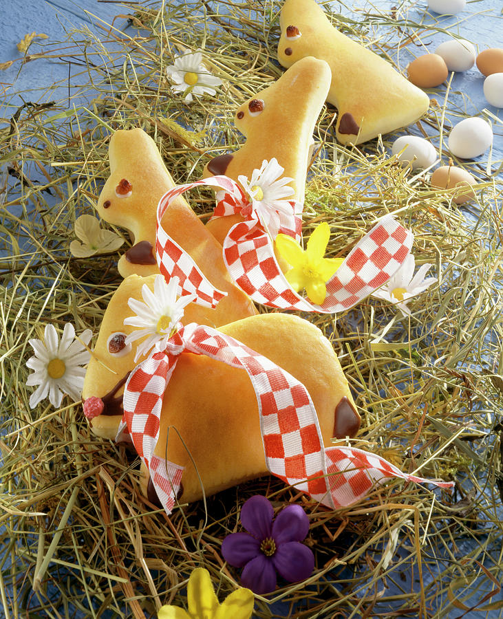 Sweet Yeast Dough Easter Bunnies On Hay With Spring Flowers Photograph by Teubner Foodfoto