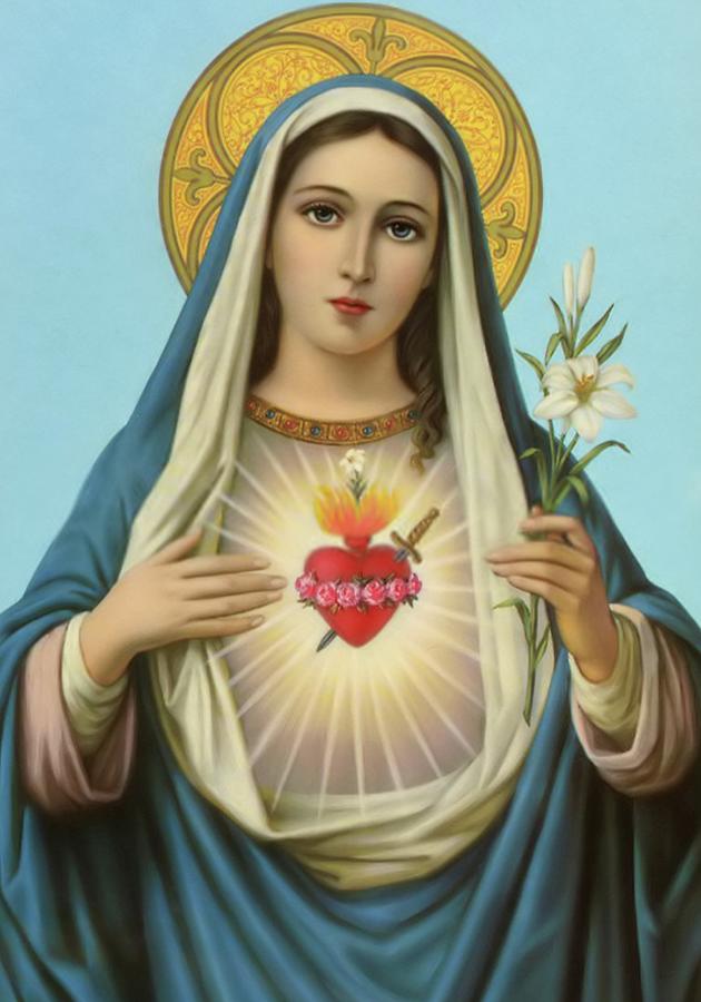 Madonna Digital Art - Sweetest Heart of Mary by Magdalena Walulik