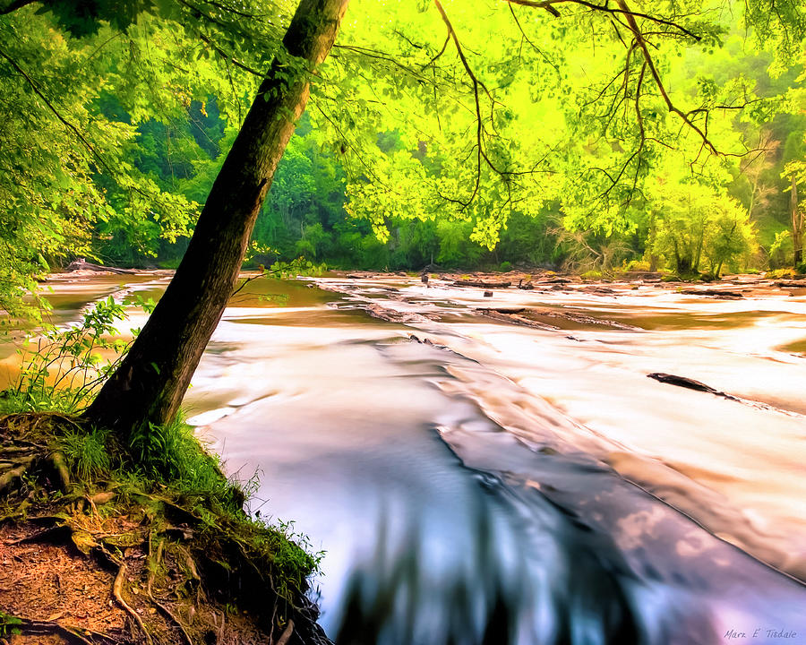 Sweetwater Creek - Georgia Landscape Mixed Media by Mark Tisdale