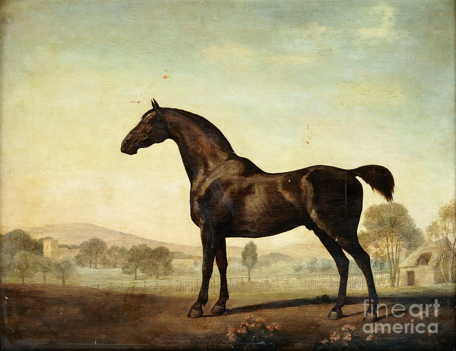 George Stubbs Painting - Sweetwilliam, A Bay Racehorse, In A Paddock, 1779 by George Stubbs