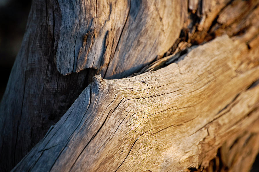 Swell Contour Photograph by Tom Trimbath - Fine Art America