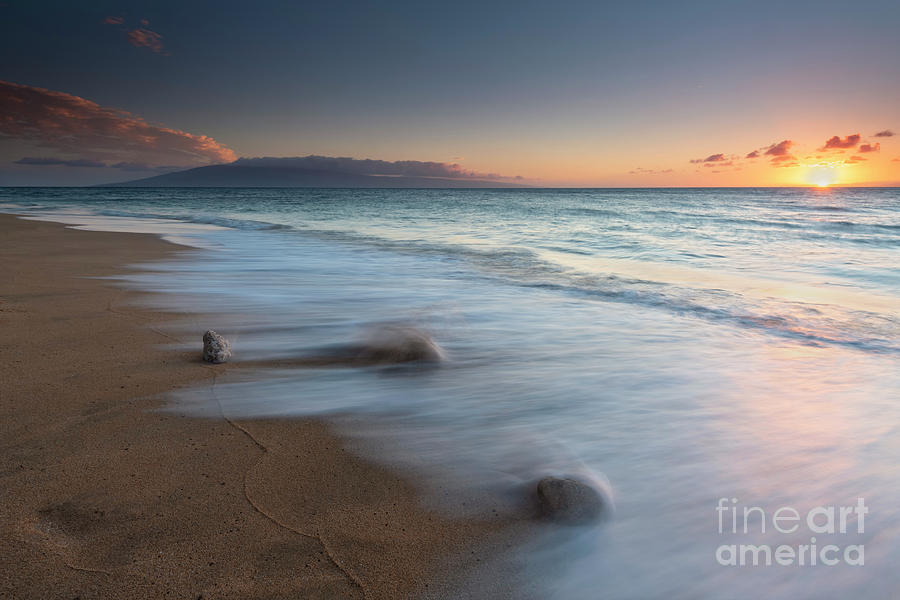 Swept by the Tides Photograph by Michael Dawson