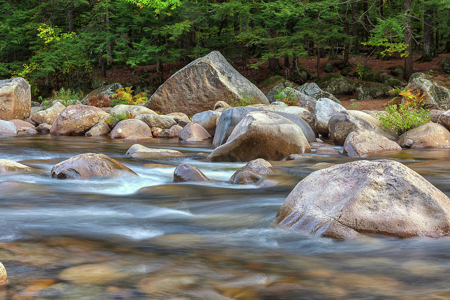 Swift River Rapids II Photograph by Cliff Wassmann