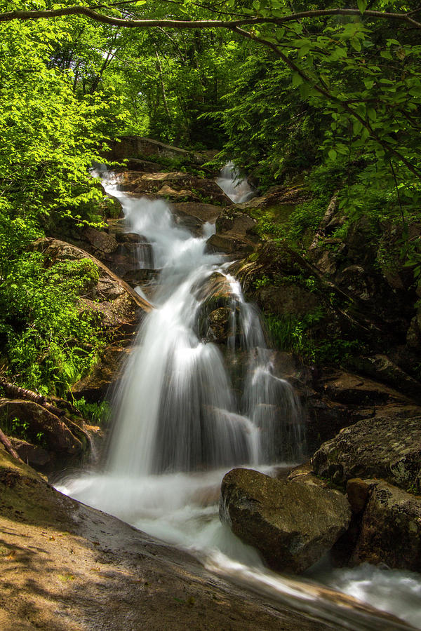 Swiftwater Falls Summer Photograph by White Mountain Images
