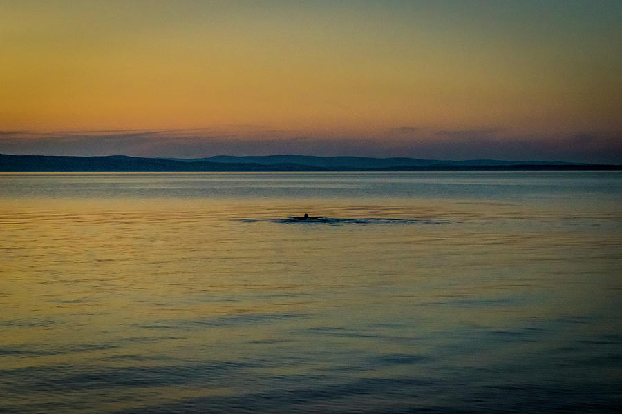 Sunset Photograph - Swim In Golden Lake by Anita Vincze
