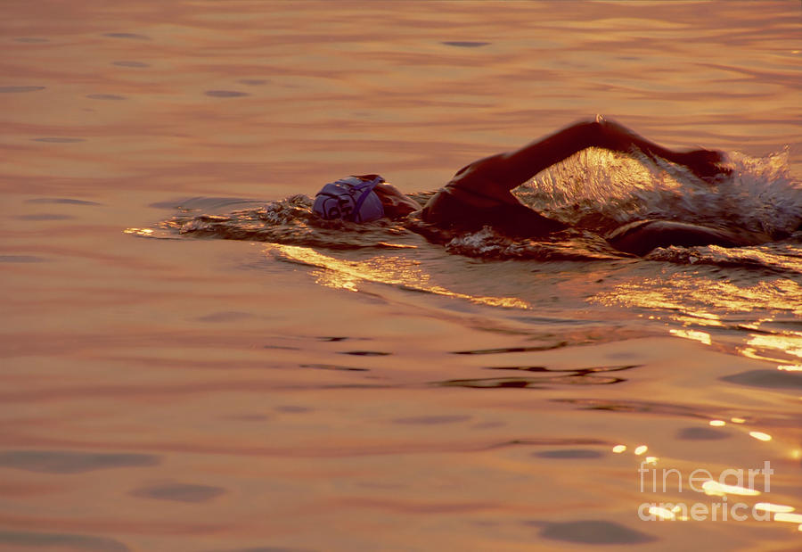 Swimmer 4 Chicago Triathlon  swimmer  at sunrise lake  Michigan practice The Concrete Beach  Photograph by Tom Jelen