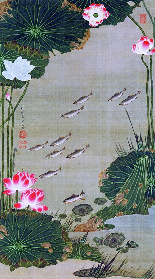 Swimming fish, Lotus pond - Digital Remastered Edition Painting by Ito Jakuchu