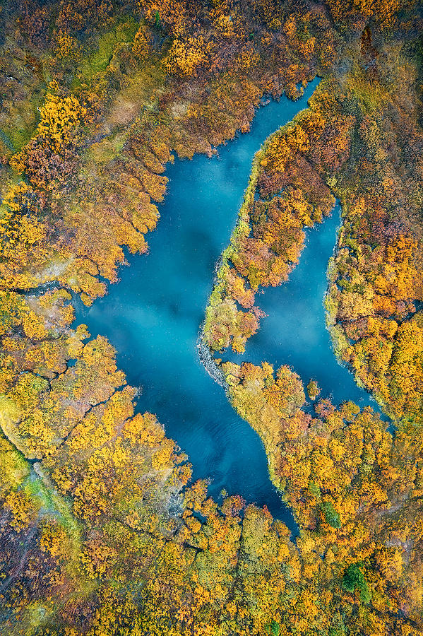 Swimming In Autumn Photograph by Mei Xu