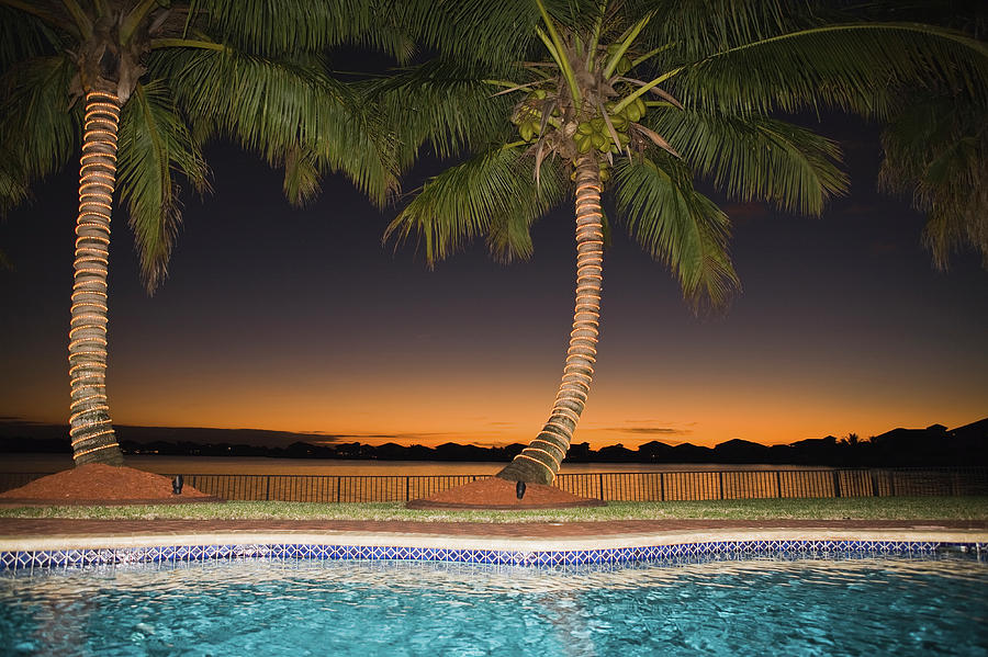 Swimming Pool With Coconut Palm With Photograph by Juan Silva