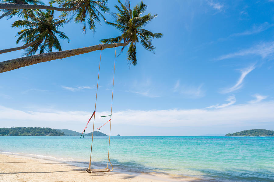Swing Hang From Coconut Palm Tree Photograph by Prasit Rodphan - Fine ...