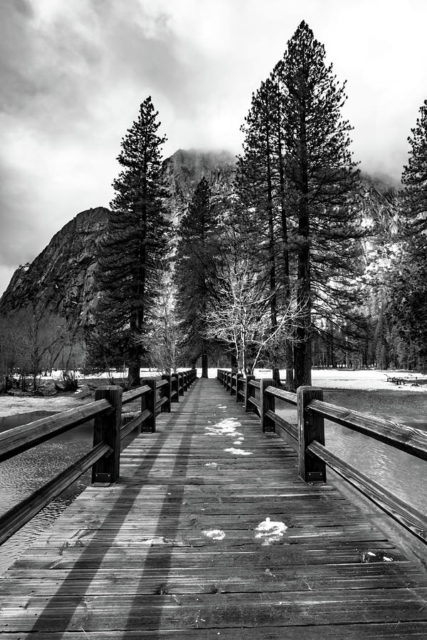 Swinging Bridge in Black and White Photograph by Norma Brandsberg