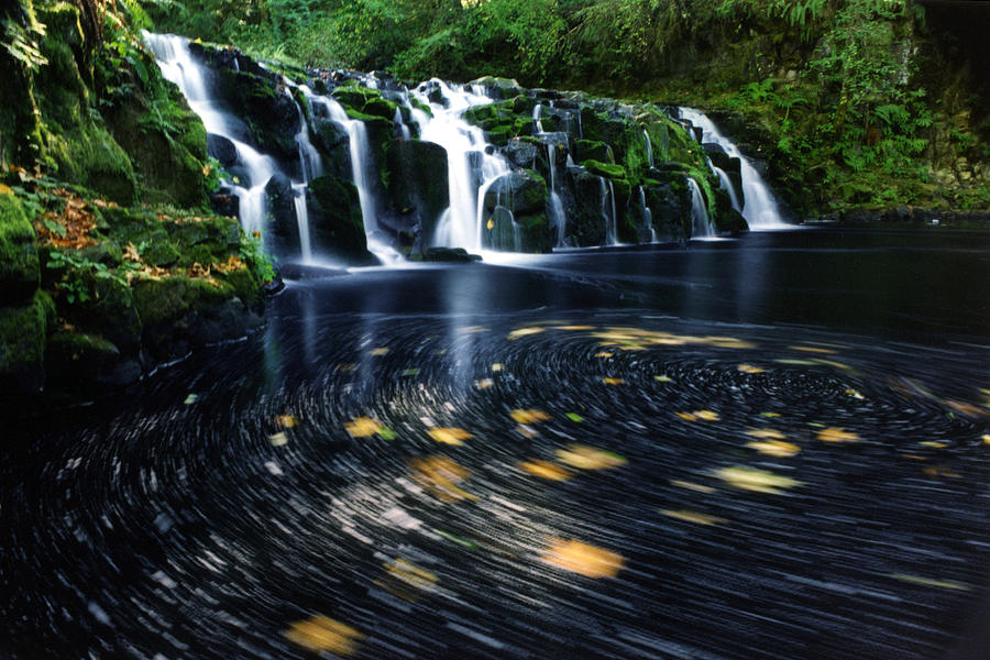 Swirl Of Leaves With Waterfall Photograph by Danielle D. Hughson