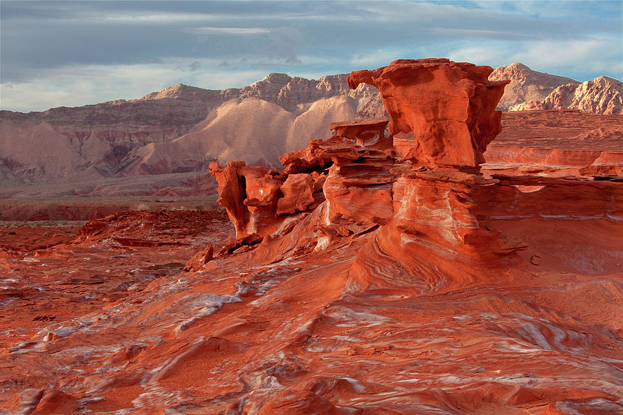 Swirls And Red Rock Photograph by Jill Buschlen