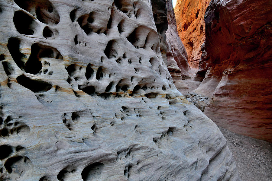 Swiss Cheese Wall of Little Wild Horse Canyon Slot Photograph by Ray Mathis