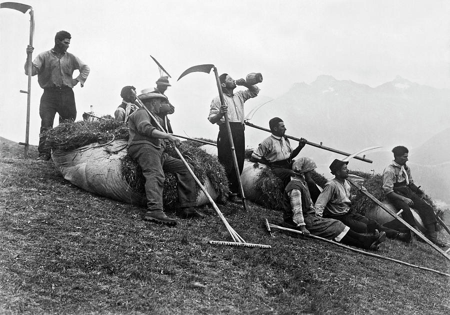 Swiss Farmers Harvest Hay Photograph by Underwood Archives