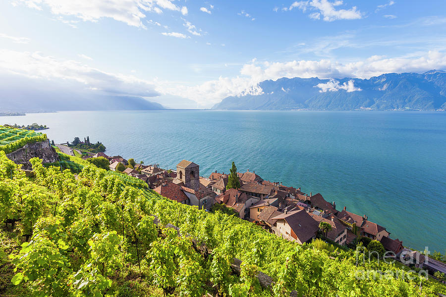 Switzerland, Lavaux, Lake Geneva Photograph by Westend61