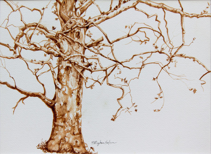 Sycamore Tree Study Painting by Patricia Allingham Carlson