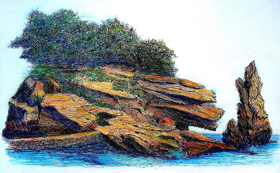 Sydney Harbour Foreshore Drawing by VIVA Anderson