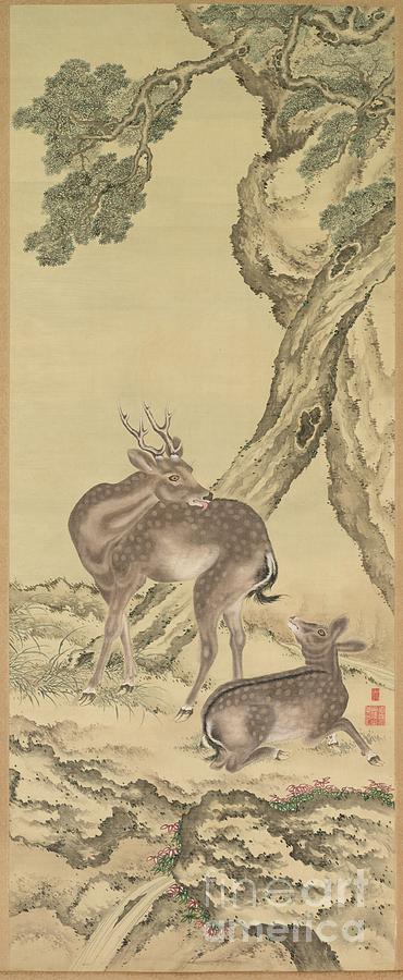Symbols Of Longevity Deer Under Peach Drawing by Heritage Images