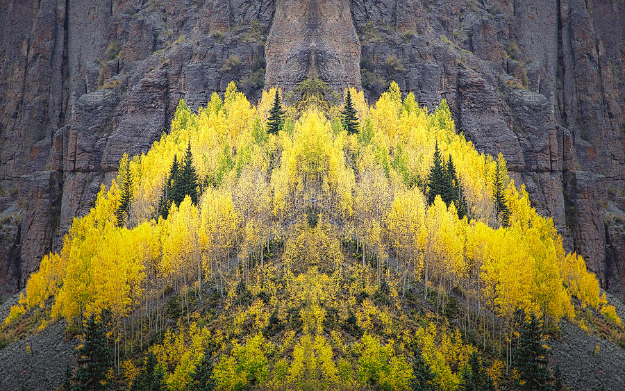 Symmetry Adds Another Element Of Beauty To Fall Colors Photograph by Robert O Endres
