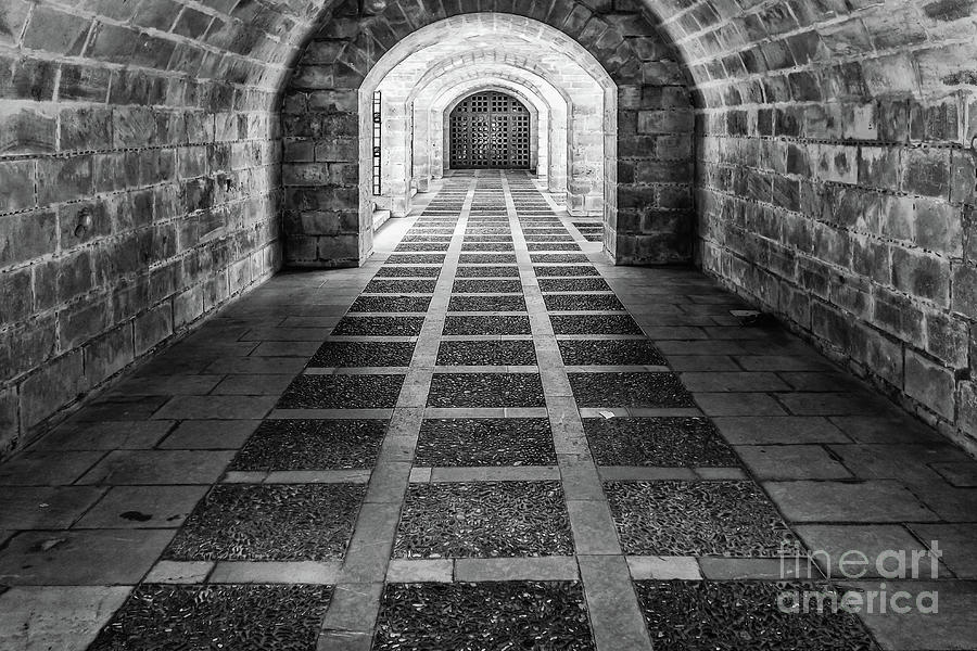 Symmetry in black and white Photograph by Lyl Dil Creations