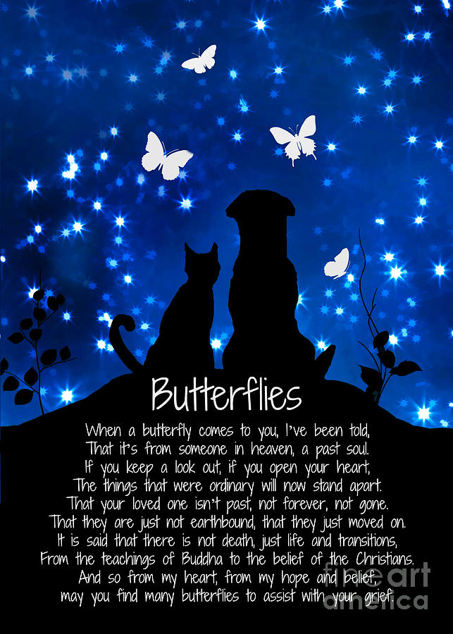 Sympathy Butterflies Cat And Dog Spiritual Grieving  Photograph by Stephanie Laird