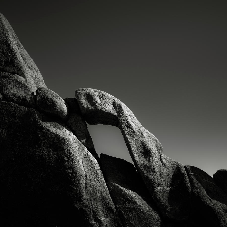 California Photograph - Synapse in Stone by Joseph Smith