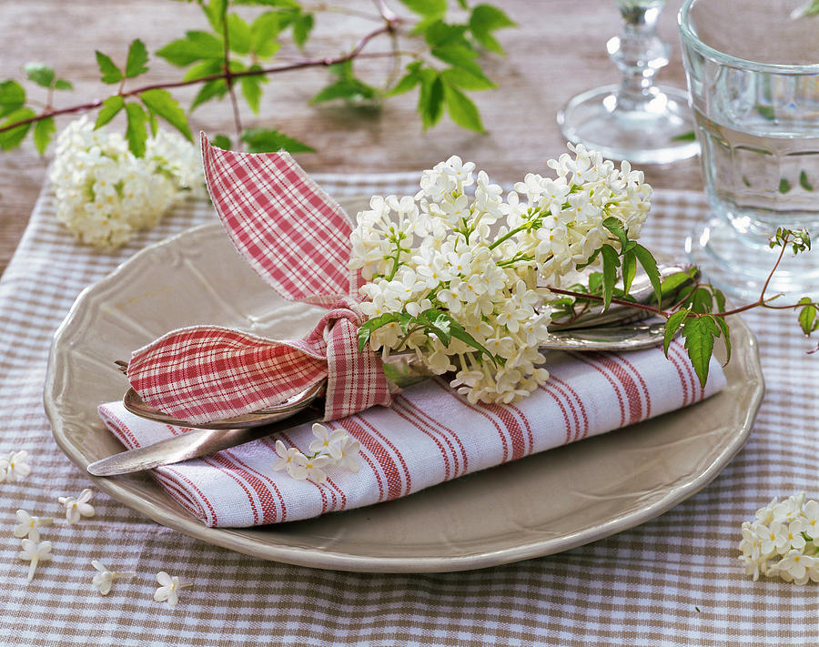 Syringa, Umbel On Folded Red-white Napkin, Cutlery Photograph by Friedrich Strauss