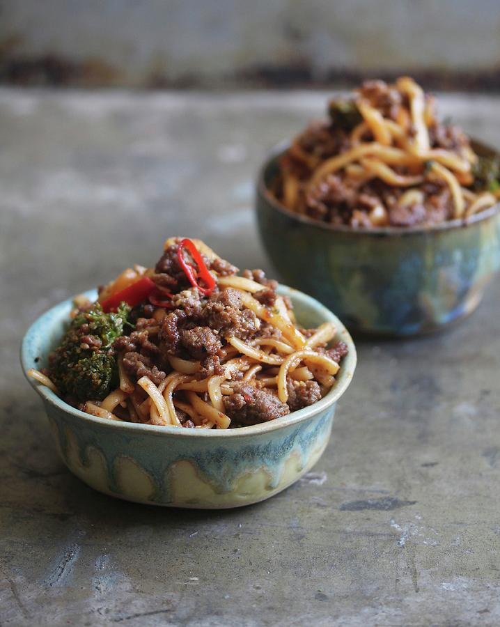 Szechuan Udon Noodles With Meat And Vegetables japan Photograph by Milly Kay