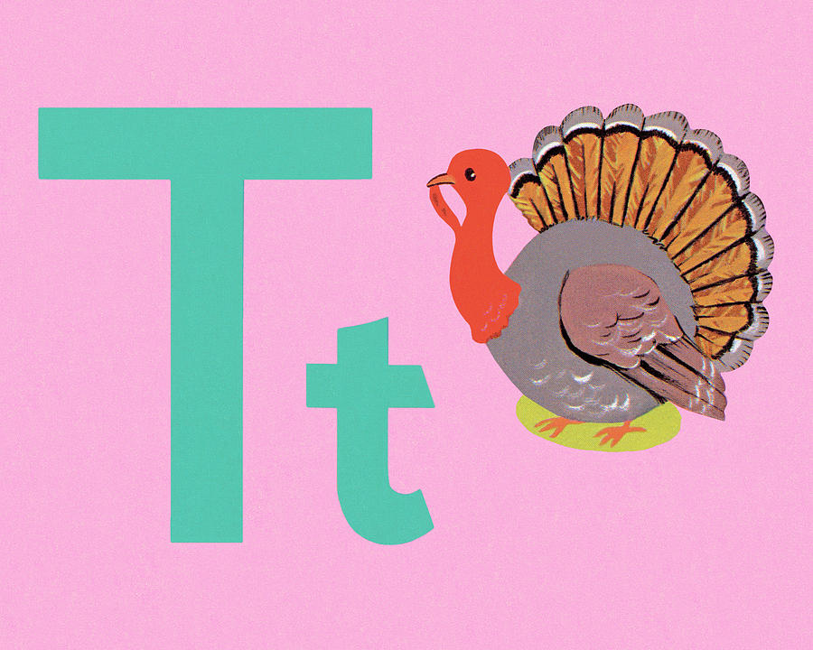 Thanksgiving Drawing - T as in Turkey by CSA Images