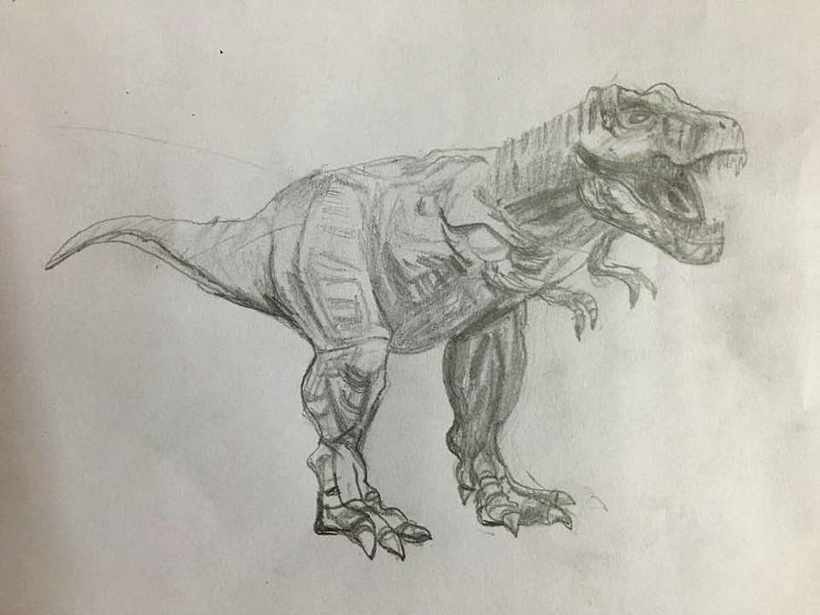 How to Draw a Tyrannosaurus Rex  Step By Step  YouTube