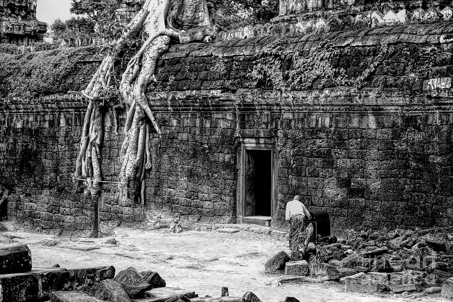Ta Prohm Black White Cambodia Ancient Temple Massive Tree Roots  Photograph by Chuck Kuhn