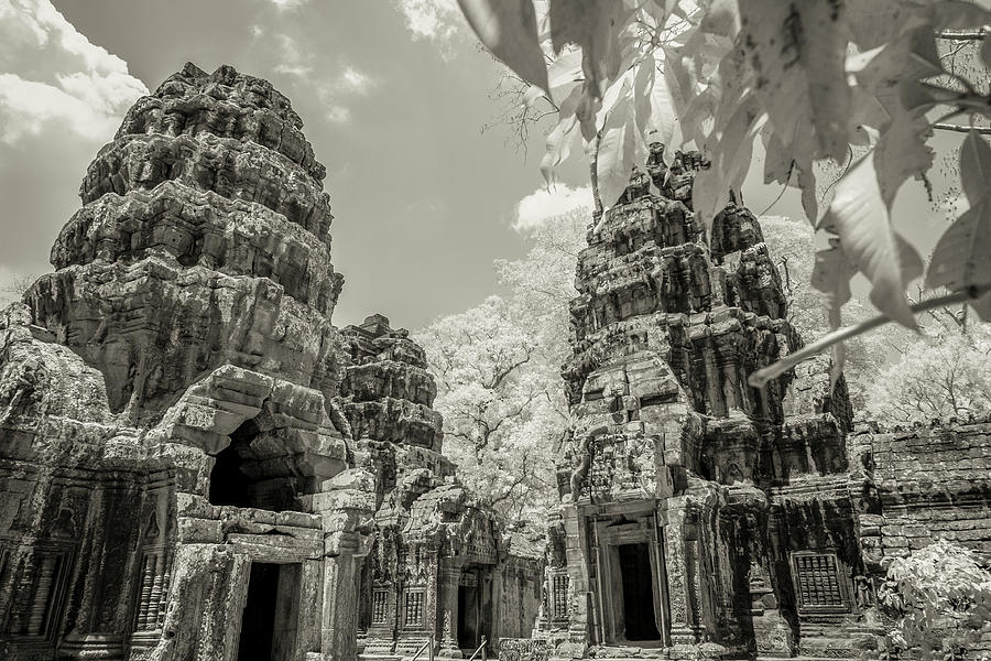 Ta Prohm Monastery in black and white Photograph by Karen Foley