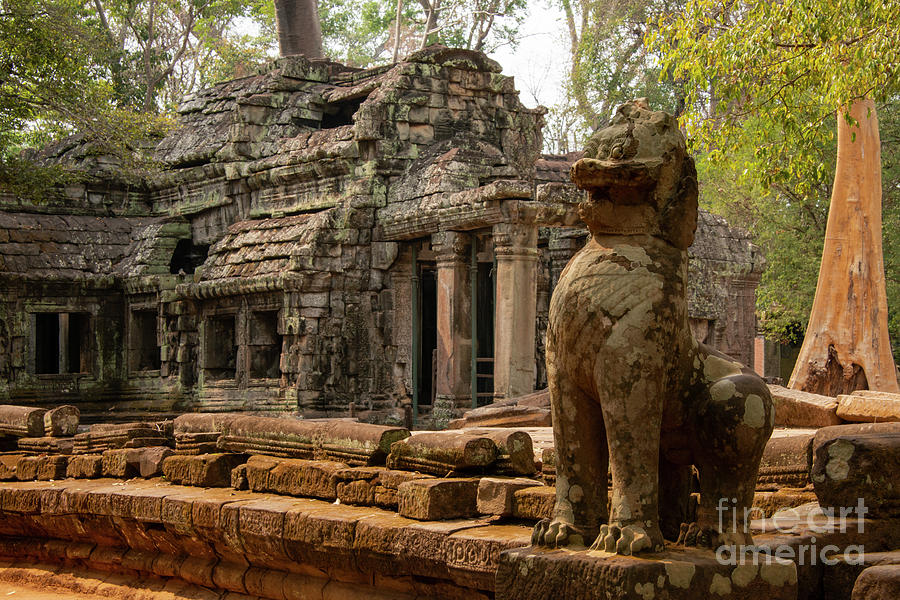 Ta Prohm Temple and Stone Lion Photograph by Bob Phillips
