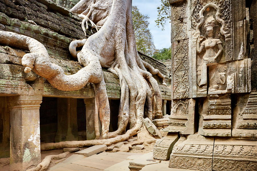 Scenic Photograph - Ta Prohm Temple, Angkor, Cambodia, Asia by Jan Wlodarczyk