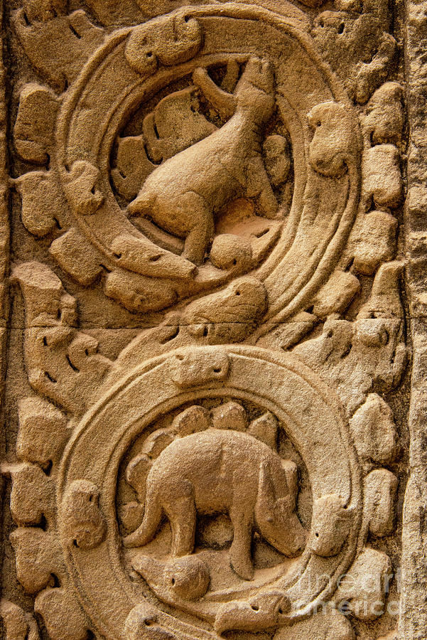 Ta Prohm Temple Animal Relief Photograph by Bob Phillips