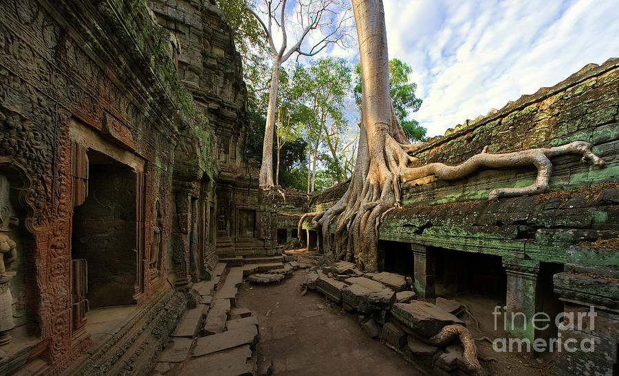 Ta Prohm Temple - Cambodia Photograph by Henk Meijer Photography