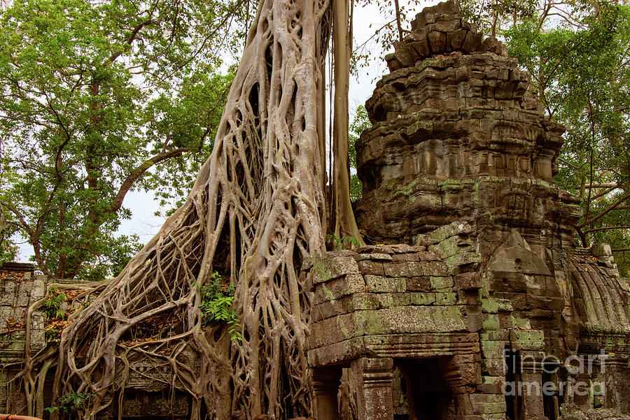 Ta Prohm Temple Tower and Silk-Cotton Tree Roots Photograph by Bob Phillips