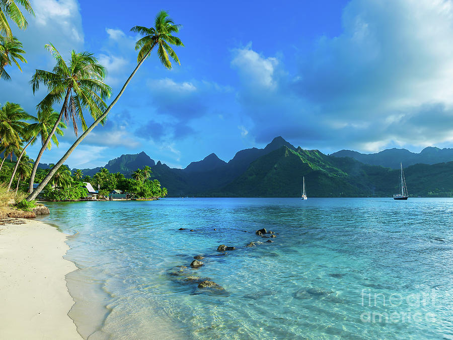 Taahiamanu Beach, French Polynesia Photograph by Tyler Rooke