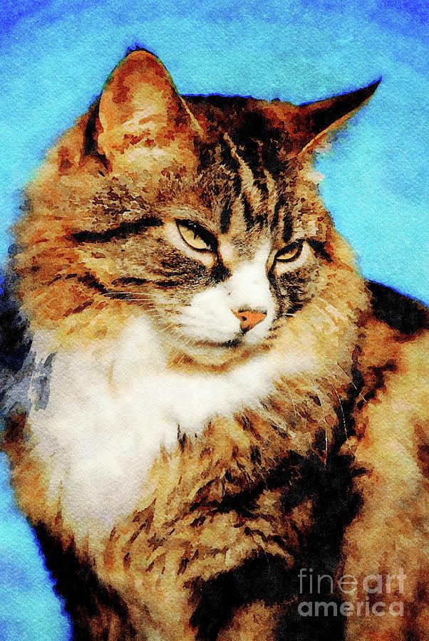 Tabby cat portrait Photograph by David Fowler