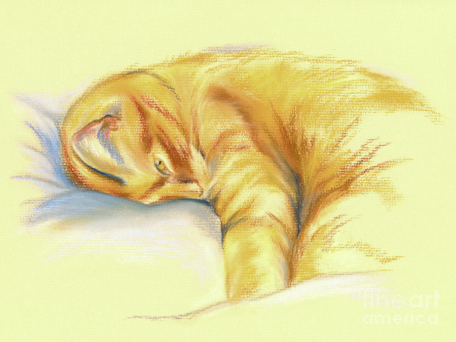 Tabby Cat Relaxed Pose Pastel by MM Anderson