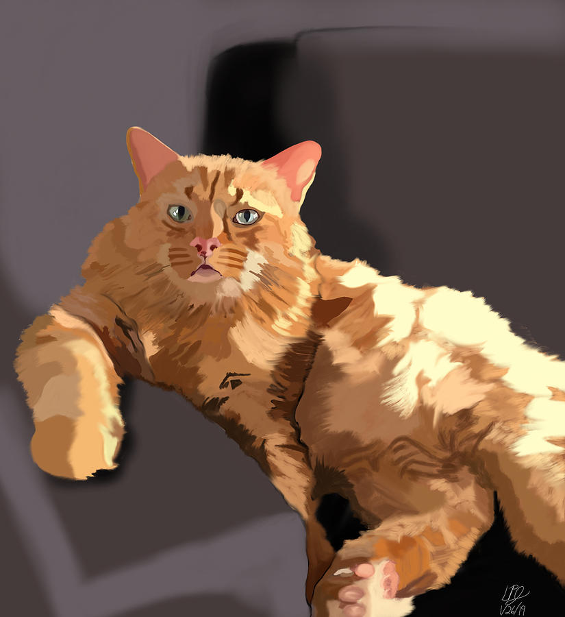 Tabby Digital Art by Lee Johnson - Fine Art America