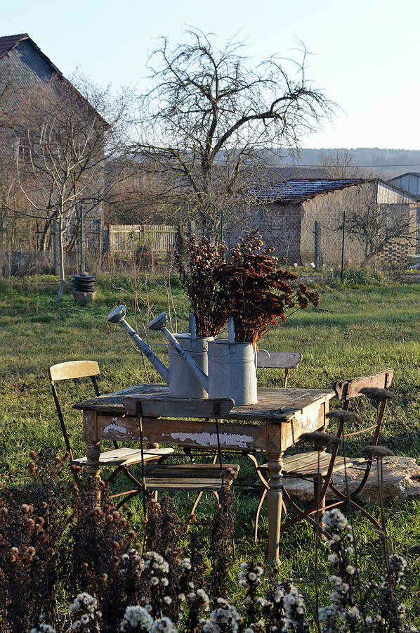 Table And Chair In Rustic Garden In Late Autumn: Dried Sedum In Zinc Watering Cans On Table Photograph by Christin By Hof 9