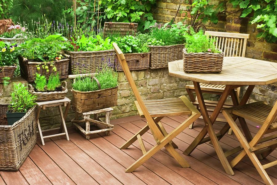 Table, Chairs And Wicker Planters Of Herbs And Lettuce On Terrace Photograph by Linda Burgess