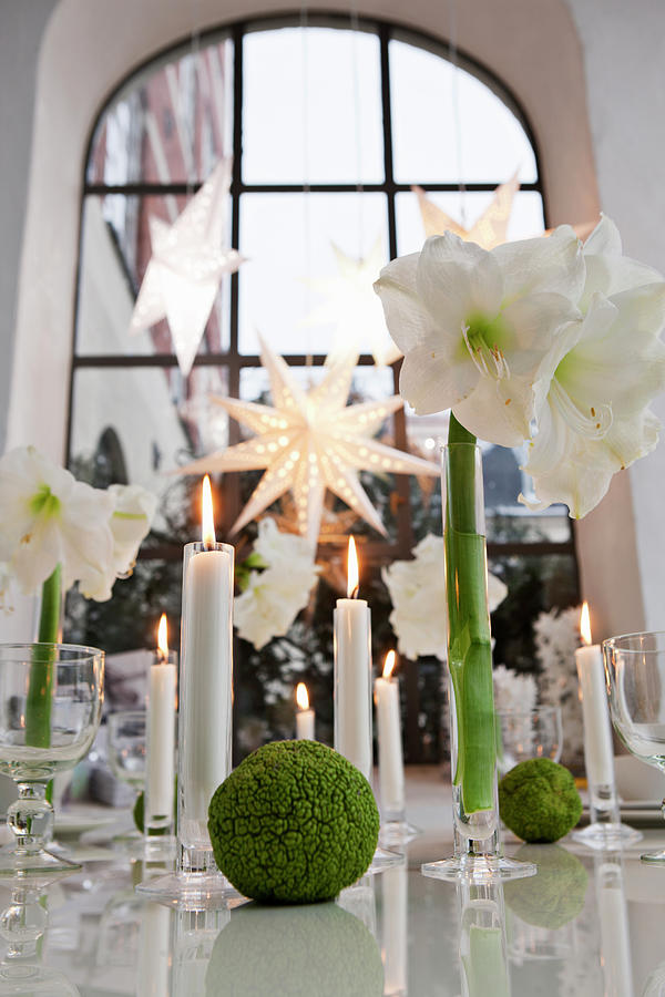 Table Decorated For Christmas With Amaryllis And Candles Photograph by Lykke Foged & Morten Holtum