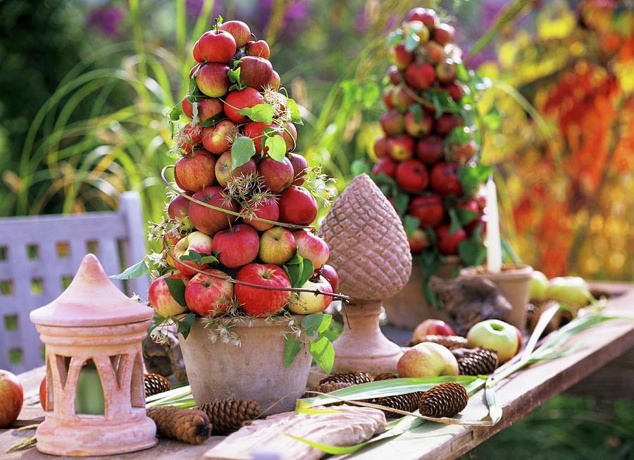 Table Decoration With Apple Pyramids Photograph by Friedrich Strauss