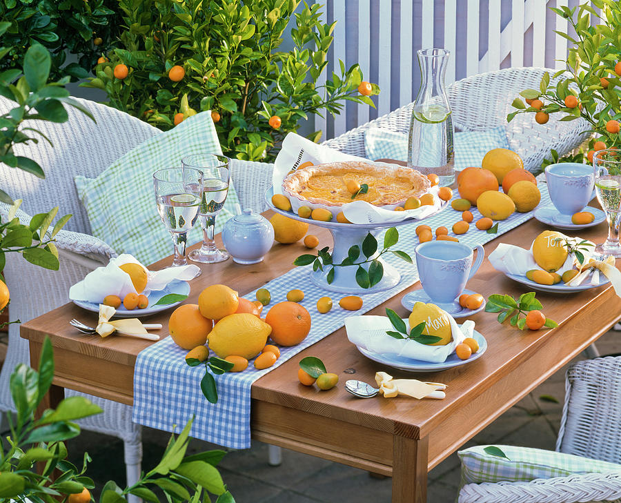 Table Decoration With Citrus, Table Runner Photograph by Friedrich Strauss